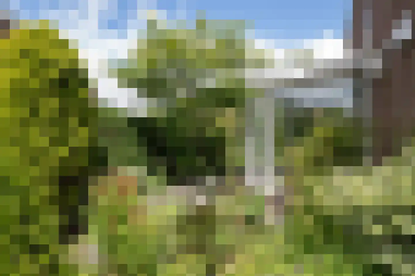 Boeier 21 Barendrecht thumbnail 37