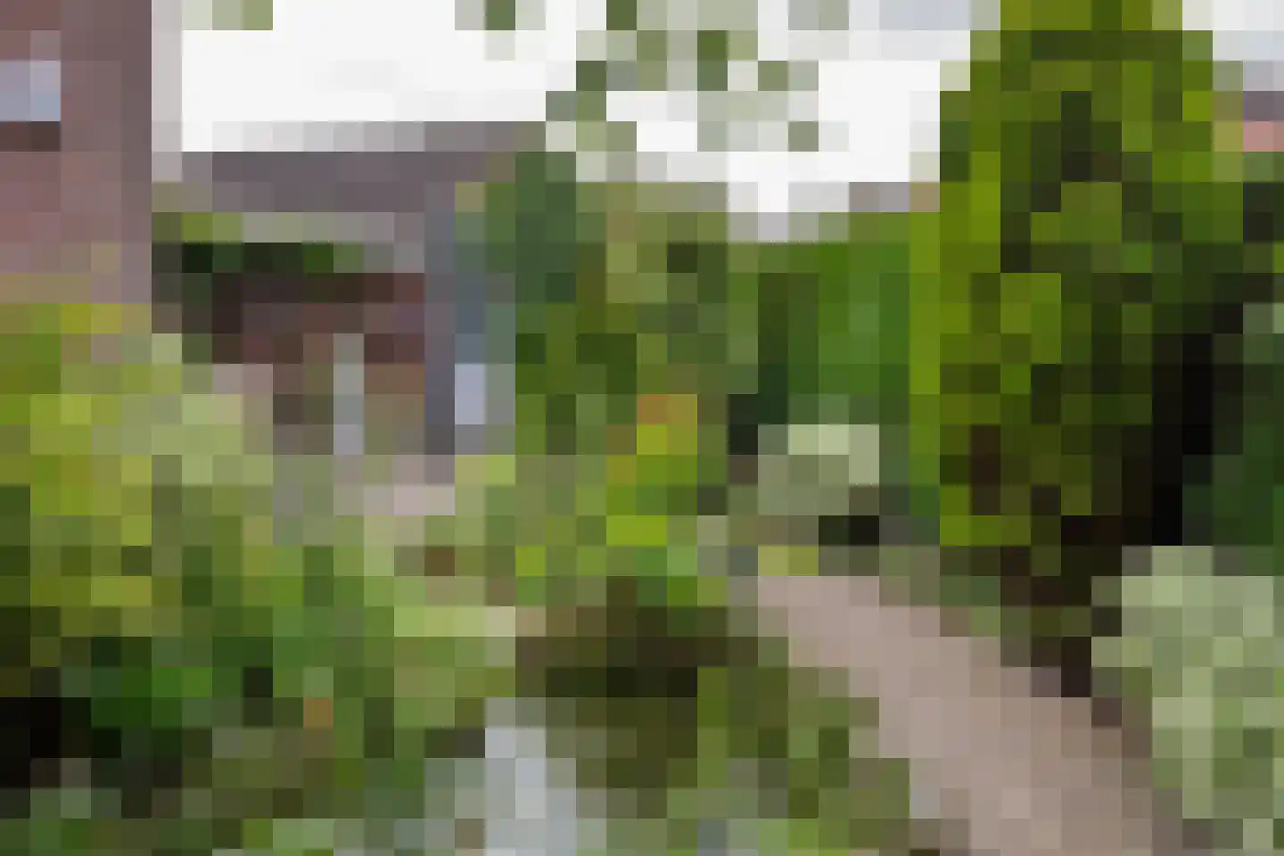 Boeier 21 Barendrecht thumbnail 5