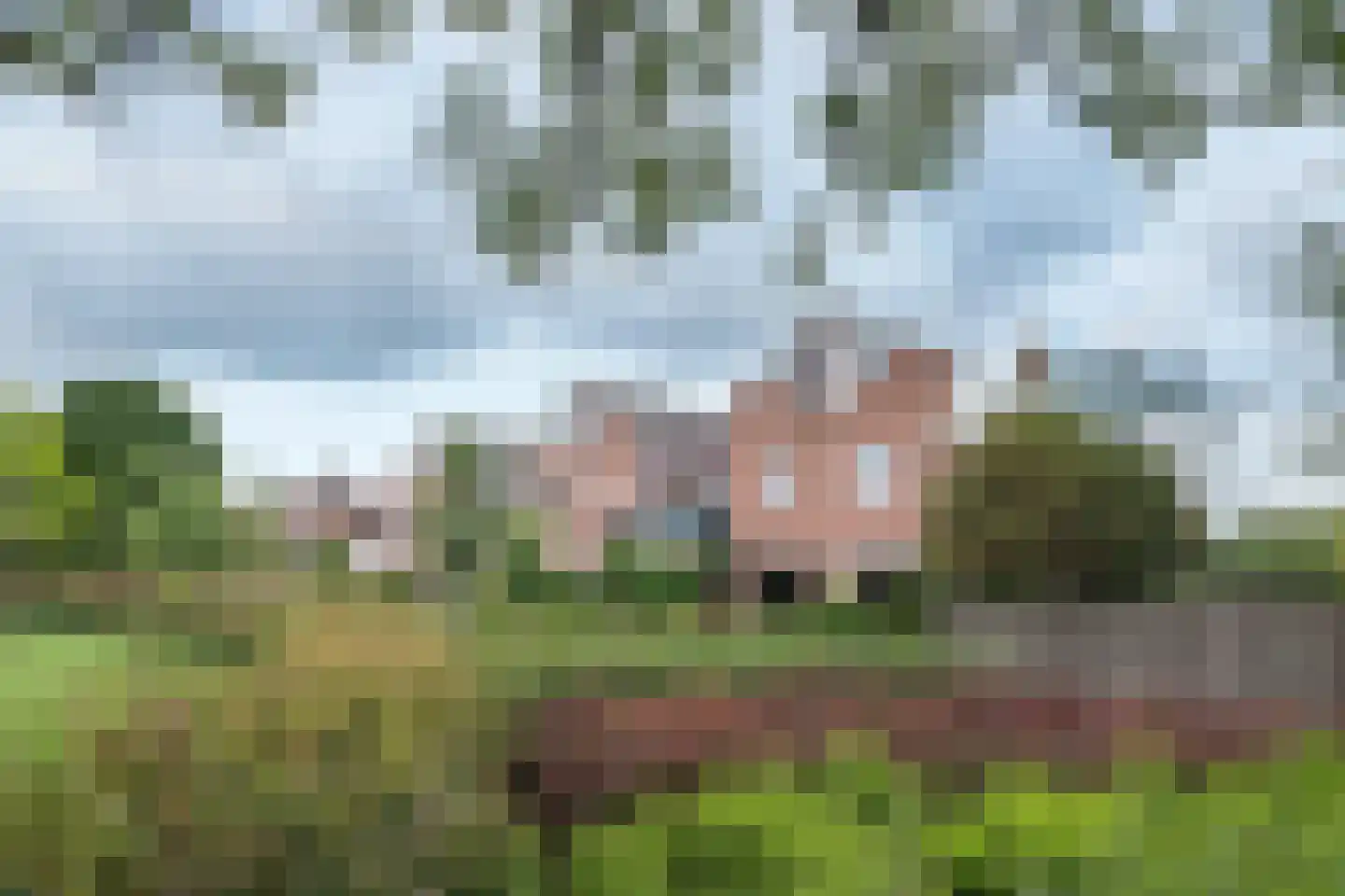 Boeier 21 Barendrecht thumbnail 6
