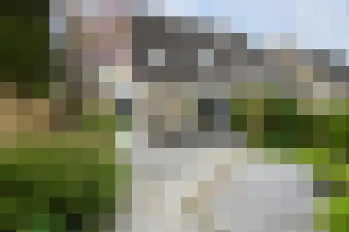 Boeier 22 Wieringerwerf thumbnail 19
