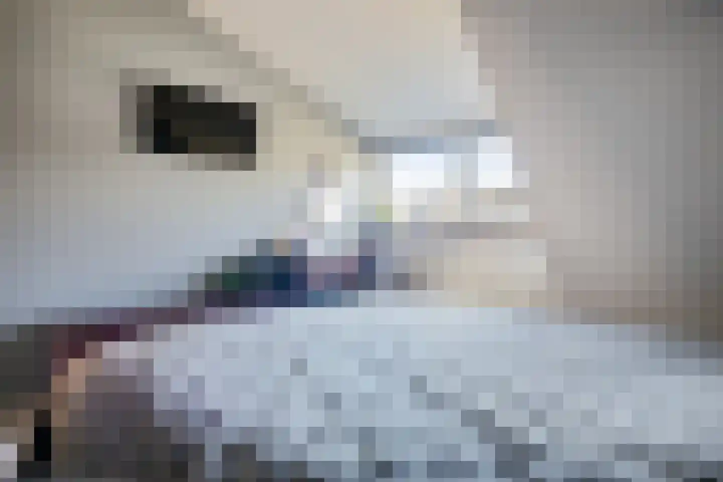 Boeier 22 Wieringerwerf thumbnail 21