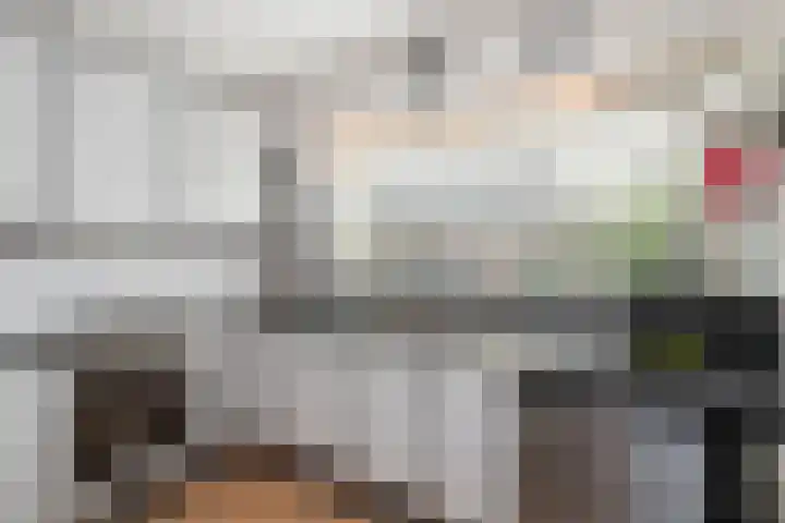 Boeier 23 Barendrecht thumbnail 10