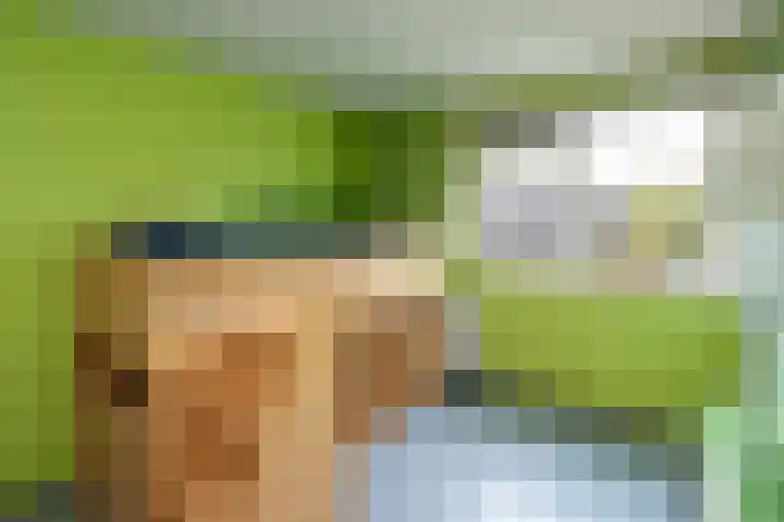 Boeier 23 Barendrecht thumbnail 15