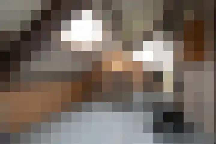 Boeier 23 Barendrecht thumbnail 22