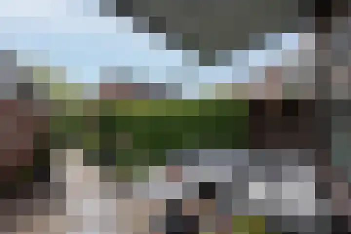 Boeier 23 Barendrecht thumbnail 26