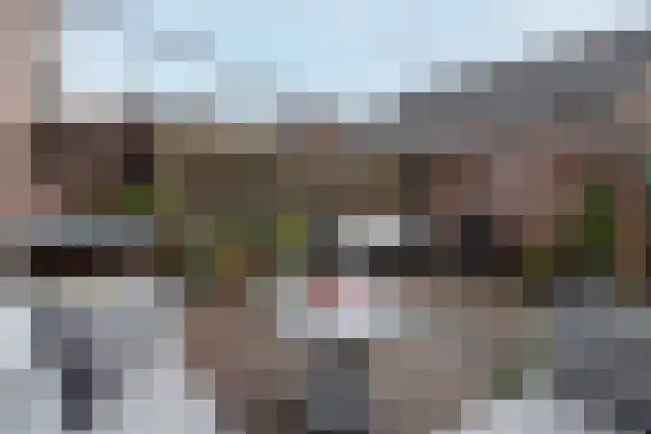Boeier 23 Barendrecht thumbnail 27