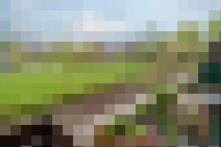 Boeier 23 Barendrecht thumbnail 31