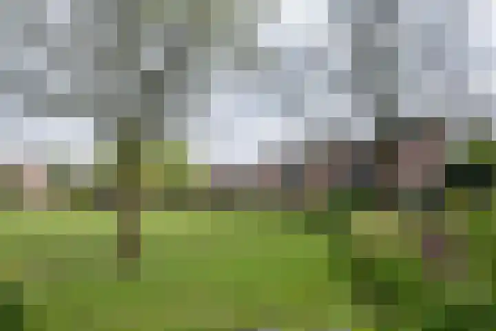 Boeier 23 Barendrecht thumbnail 32