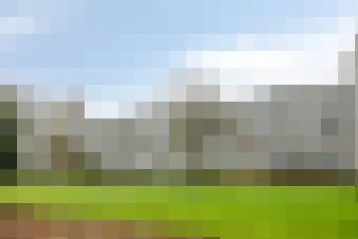 Boeier 23 Barendrecht thumbnail 34