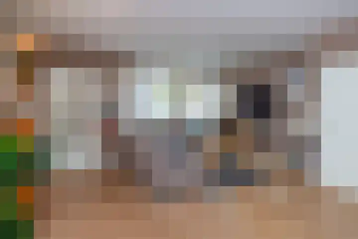 Boeier 23 Barendrecht thumbnail 4