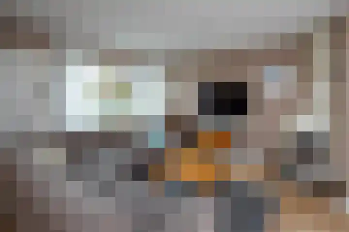 Boeier 23 Barendrecht thumbnail 6