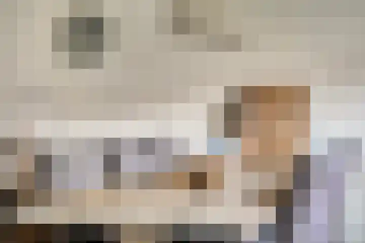 Boeier 24 Veenendaal thumbnail 10