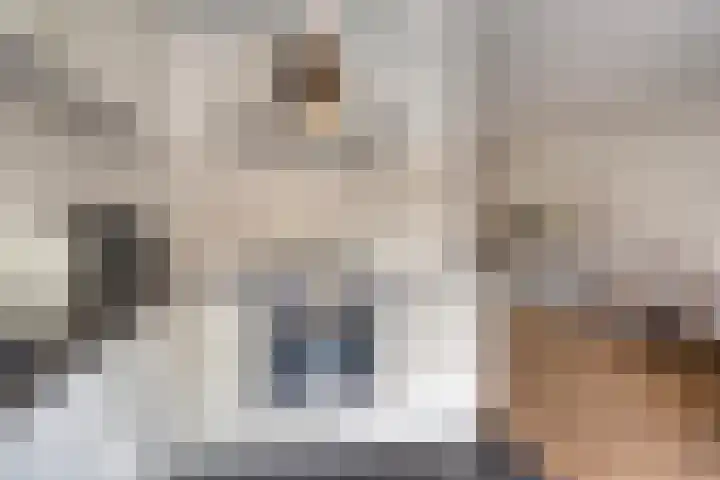 Boeier 24 Veenendaal thumbnail 12