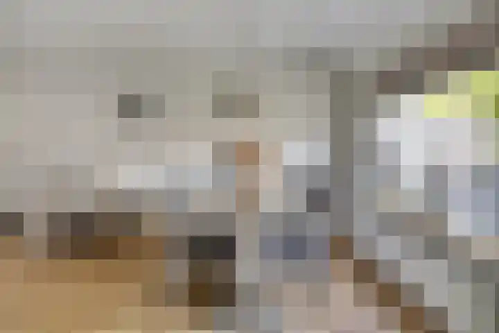 Boeier 24 Veenendaal thumbnail 13