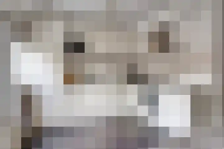 Boeier 24 Veenendaal thumbnail 14