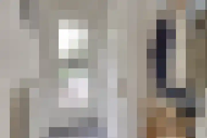 Boeier 24 Veenendaal thumbnail 16