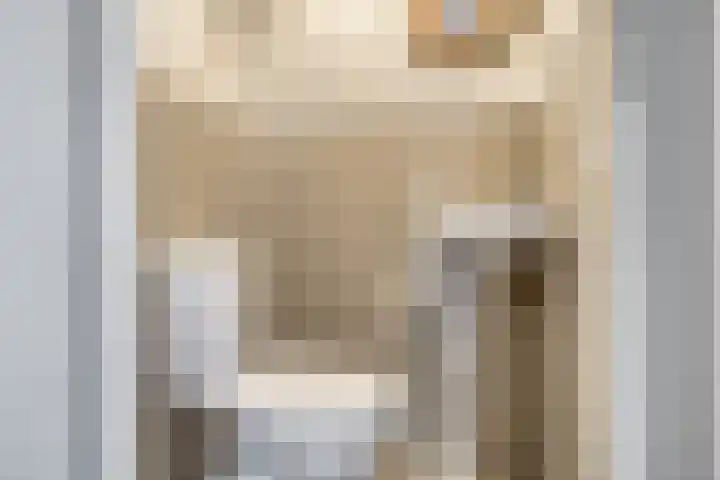Boeier 24 Veenendaal thumbnail 17