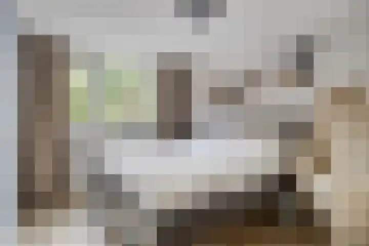 Boeier 24 Veenendaal thumbnail 18