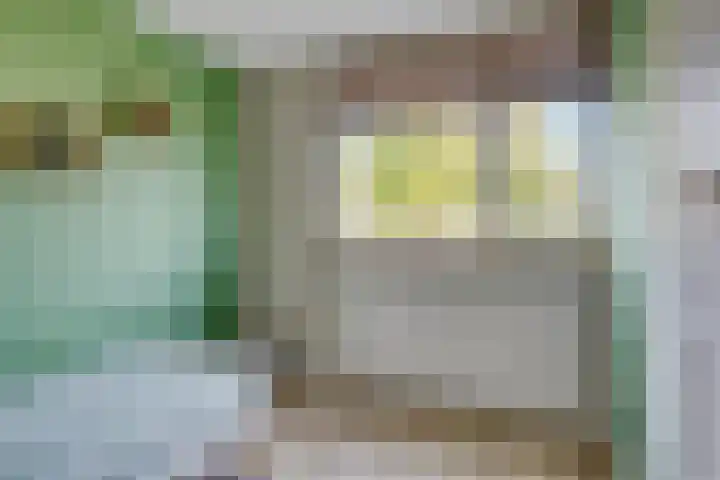 Boeier 24 Veenendaal thumbnail 20