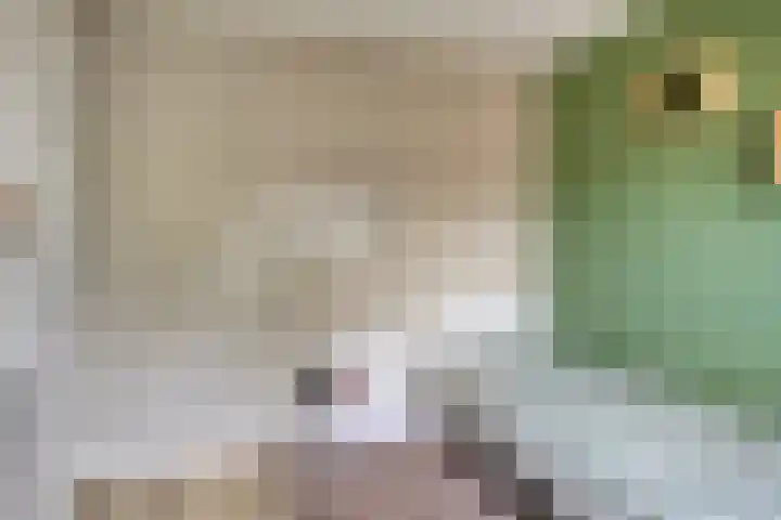 Boeier 24 Veenendaal thumbnail 21