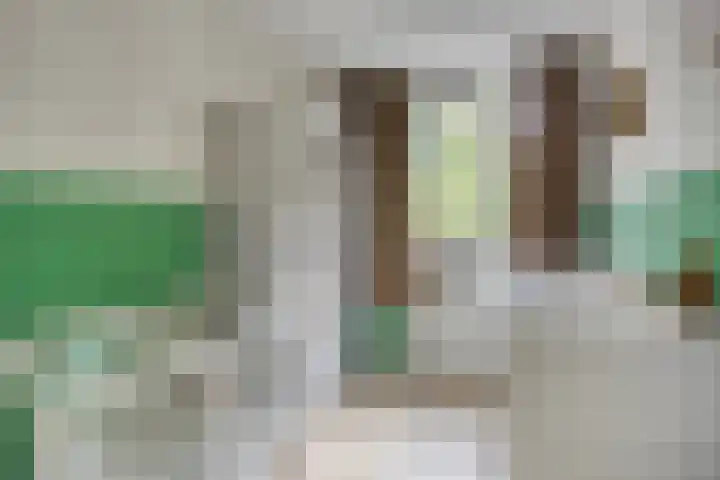 Boeier 24 Veenendaal thumbnail 22