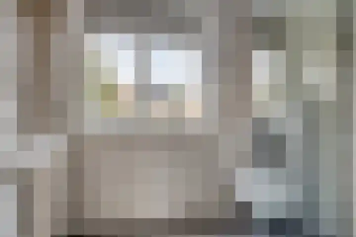 Boeier 24 Veenendaal thumbnail 23