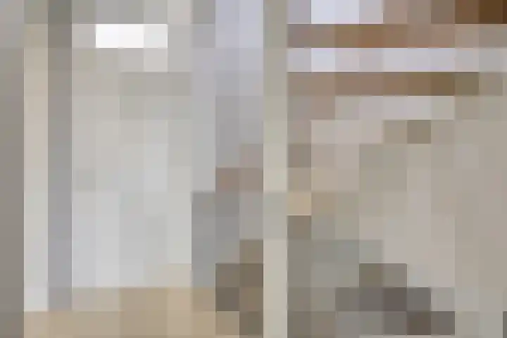 Boeier 24 Veenendaal thumbnail 25
