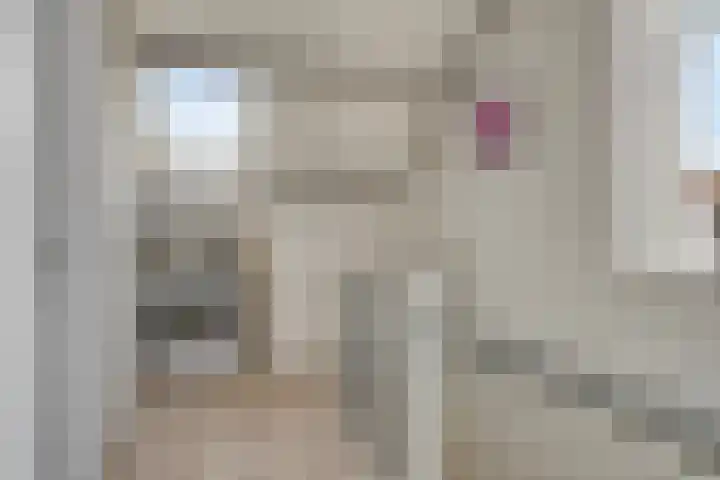 Boeier 24 Veenendaal thumbnail 26