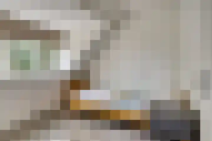 Boeier 24 Veenendaal thumbnail 27