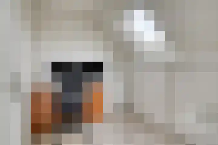 Boeier 24 Veenendaal thumbnail 28