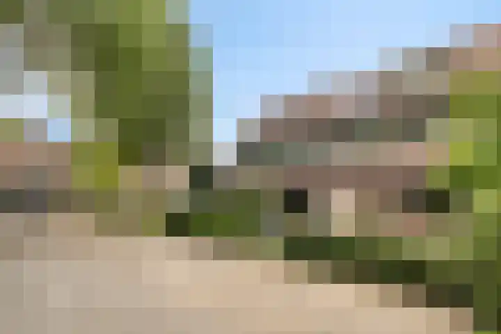 Boeier 24 Veenendaal thumbnail 29
