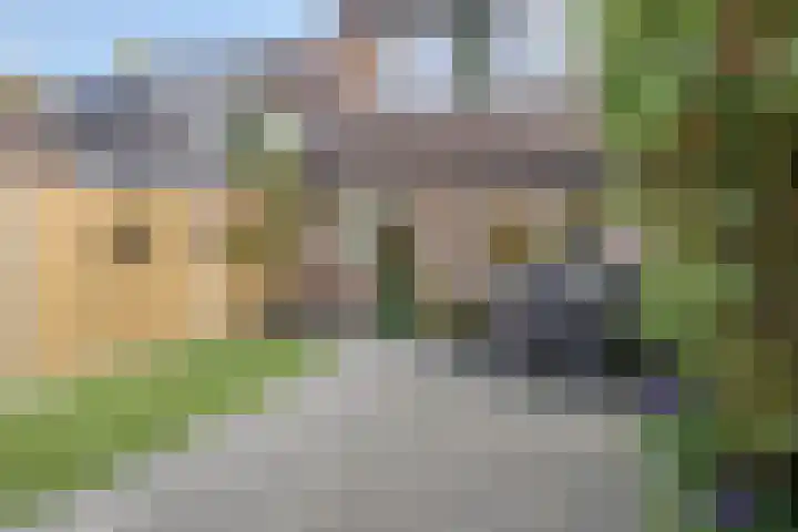 Boeier 24 Veenendaal thumbnail 33