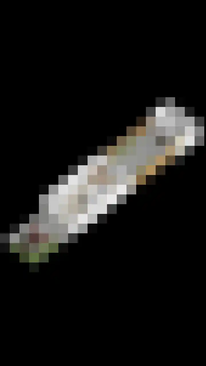 Boeier 24 Veenendaal thumbnail 36