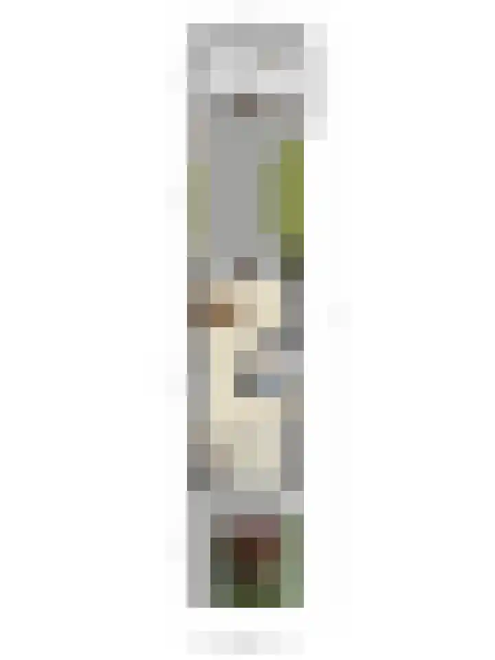 Boeier 24 Veenendaal thumbnail 37