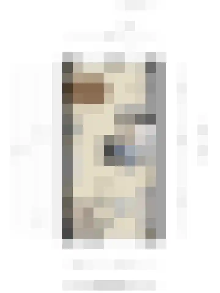 Boeier 24 Veenendaal thumbnail 39