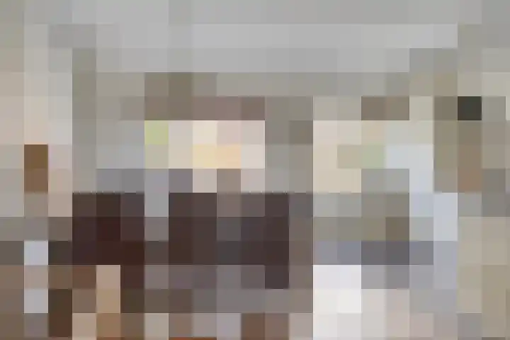 Boeier 24 Veenendaal thumbnail 4