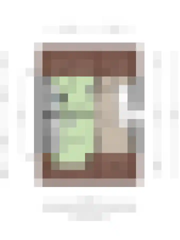 Boeier 24 Veenendaal thumbnail 43