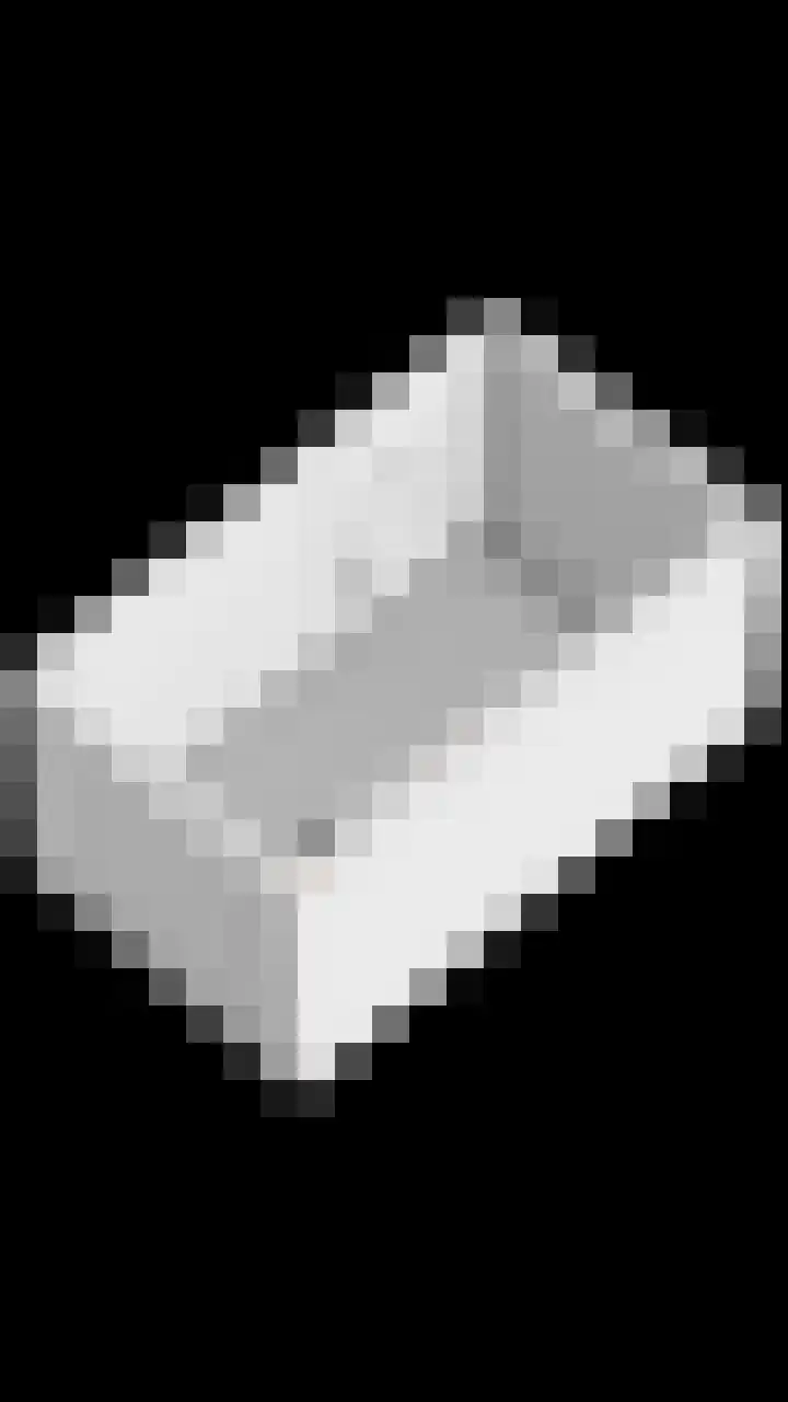 Boeier 24 Veenendaal thumbnail 44