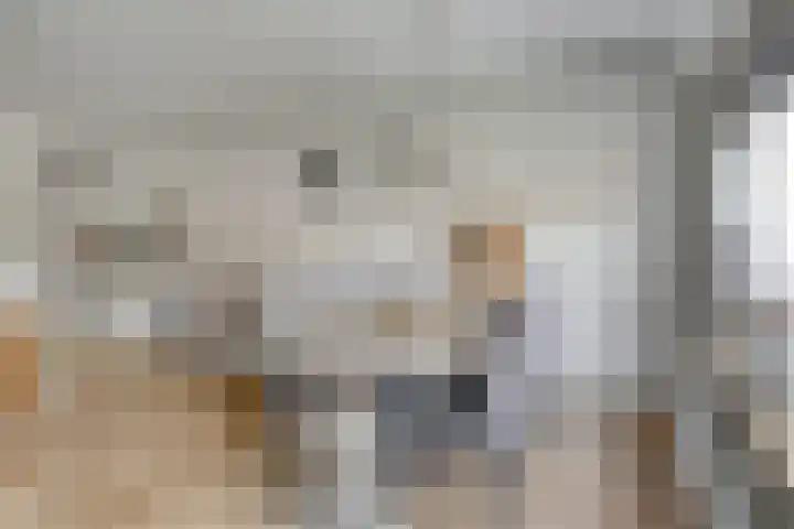 Boeier 24 Veenendaal thumbnail 5