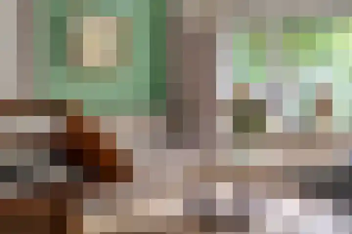 Boeier 24 Veenendaal thumbnail 6