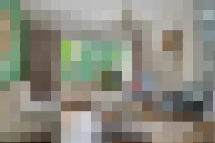 Boeier 24 Veenendaal thumbnail 7