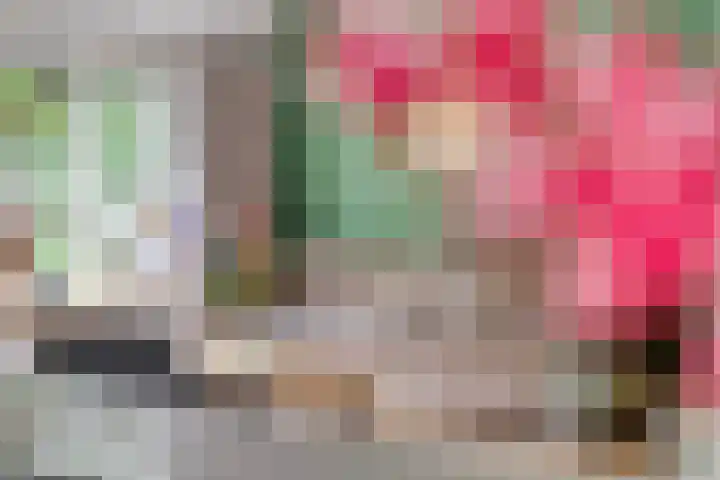 Boeier 24 Veenendaal thumbnail 8