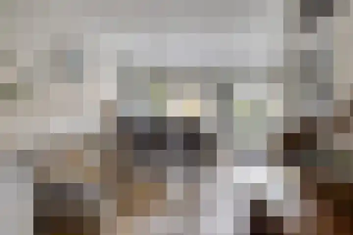 Boeier 24 Veenendaal thumbnail 9