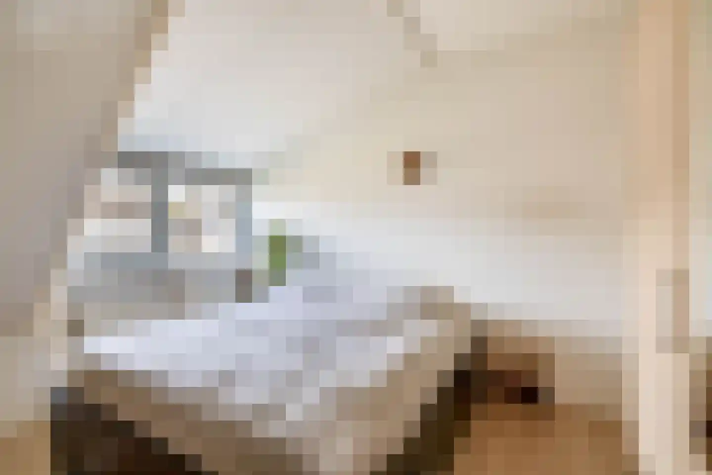 Boeier 24 Wieringerwerf thumbnail 25