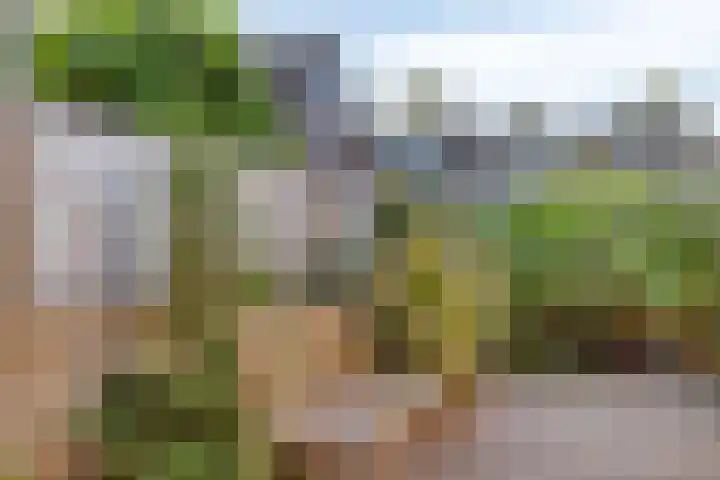 Boeier 26 Barendrecht thumbnail 32