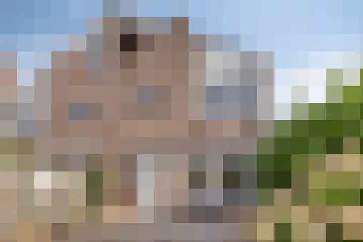 Boeier 26 Barendrecht thumbnail 34