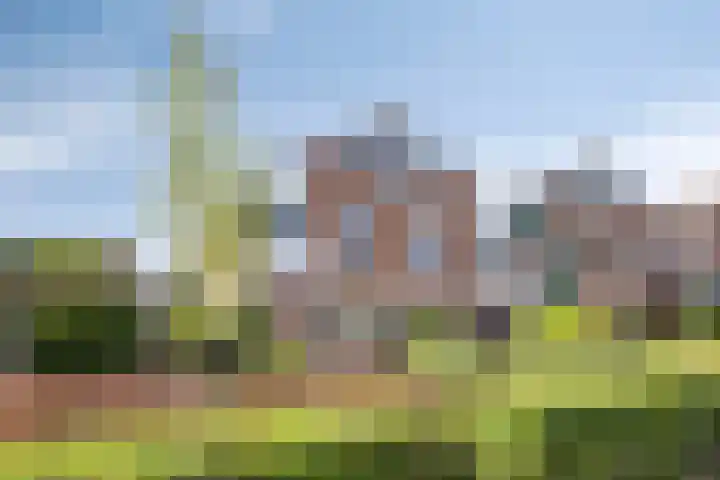 Boeier 26 Barendrecht thumbnail 38