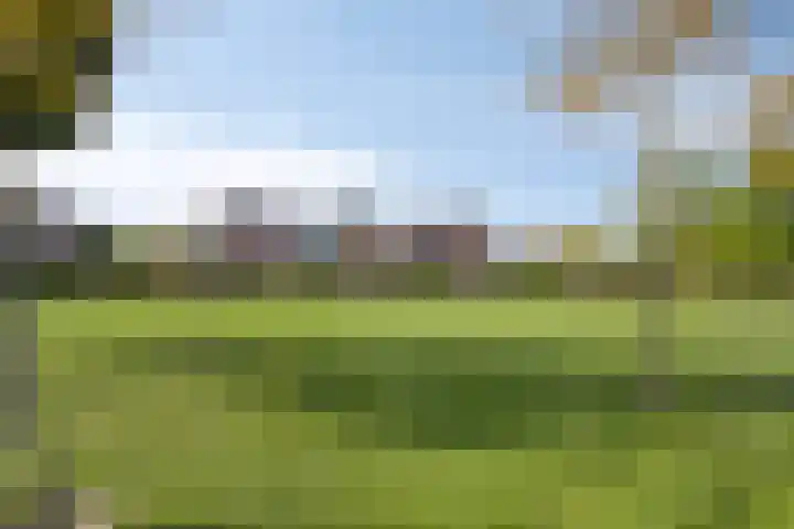 Boeier 26 Barendrecht thumbnail 39