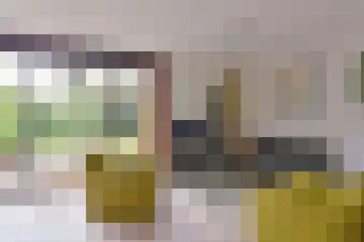Boeier 29 Hoorn thumbnail 11