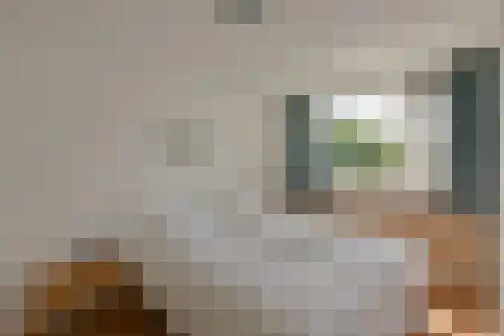 Boeier 29 Hoorn thumbnail 15